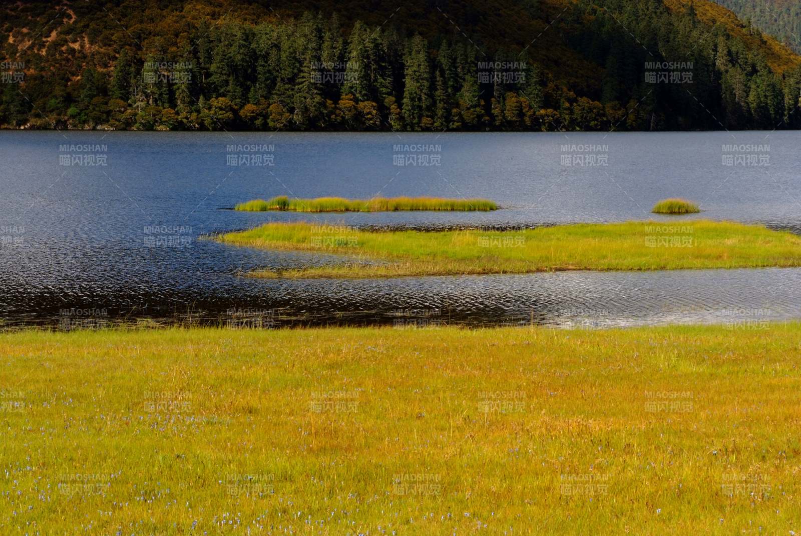 湖光山色 草岛映衬图片