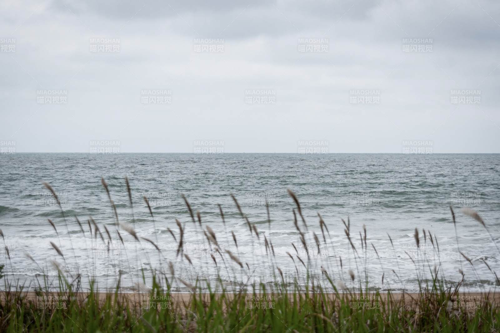 海边草丛与海浪相映图片