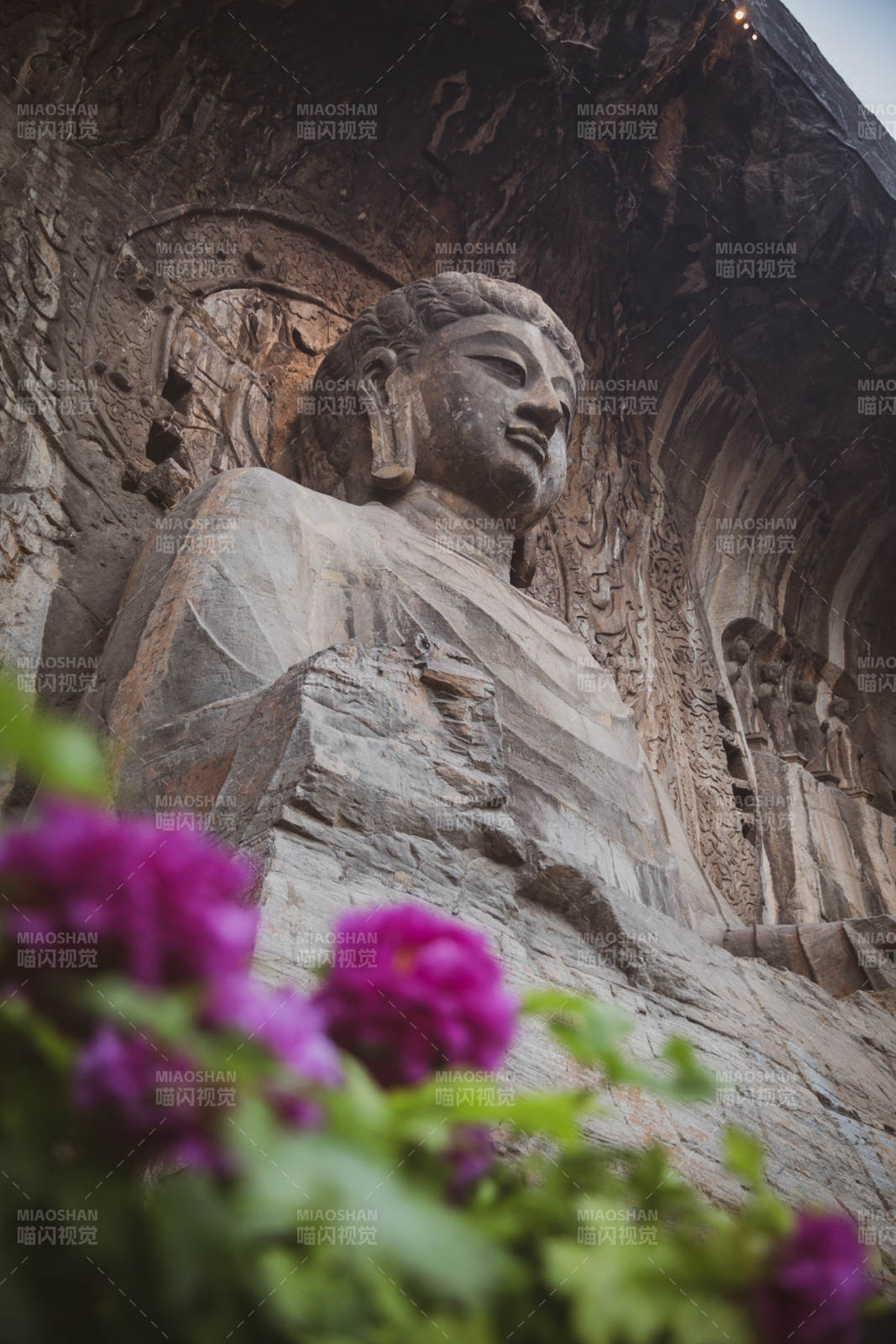 龙门石窟佛像与紫花图片