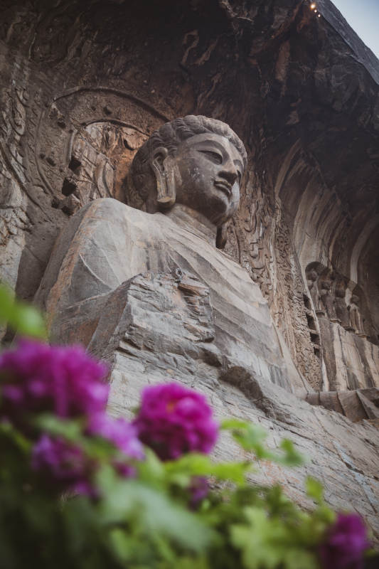 龙门石窟佛像与紫花图片