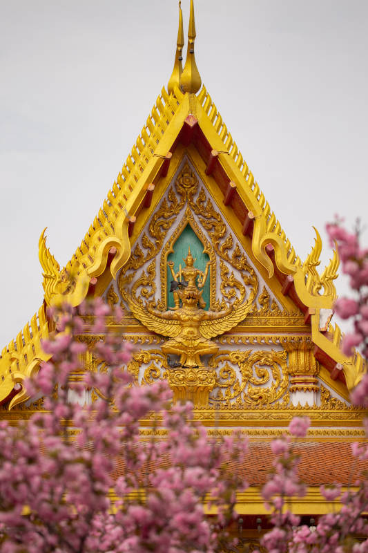 洛阳白马寺图片