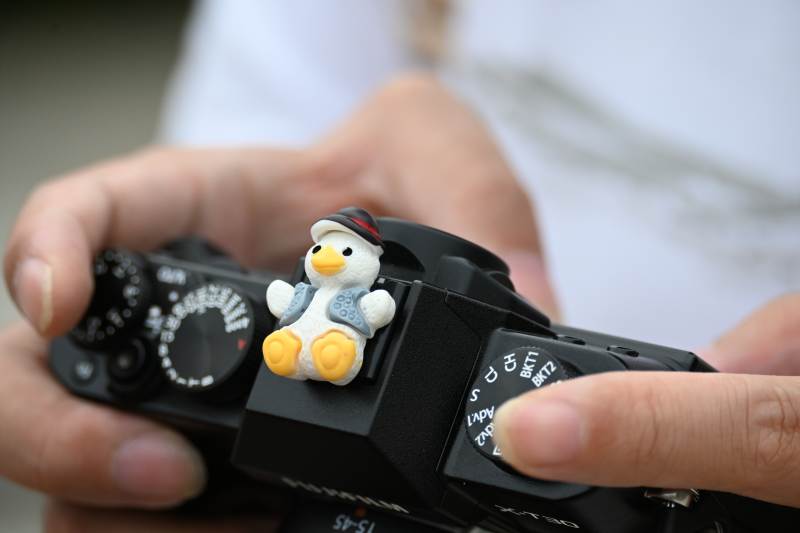 相机上的小鸭子玩具图片