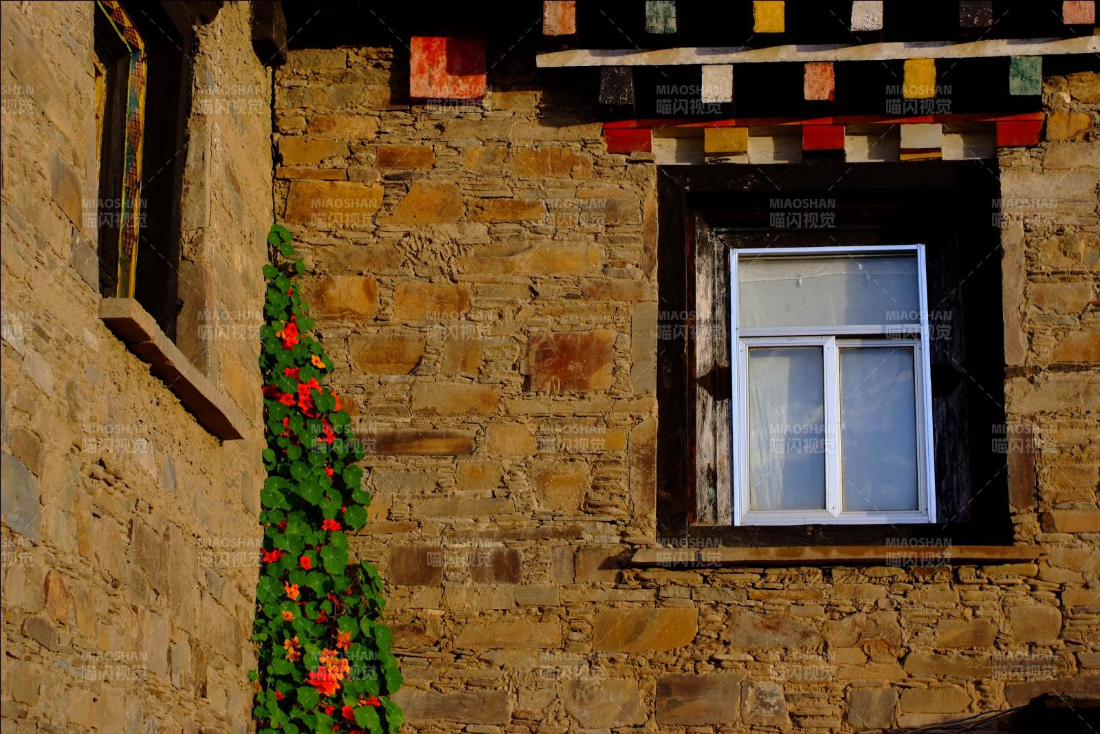 石墙窗影 花藤点缀图片