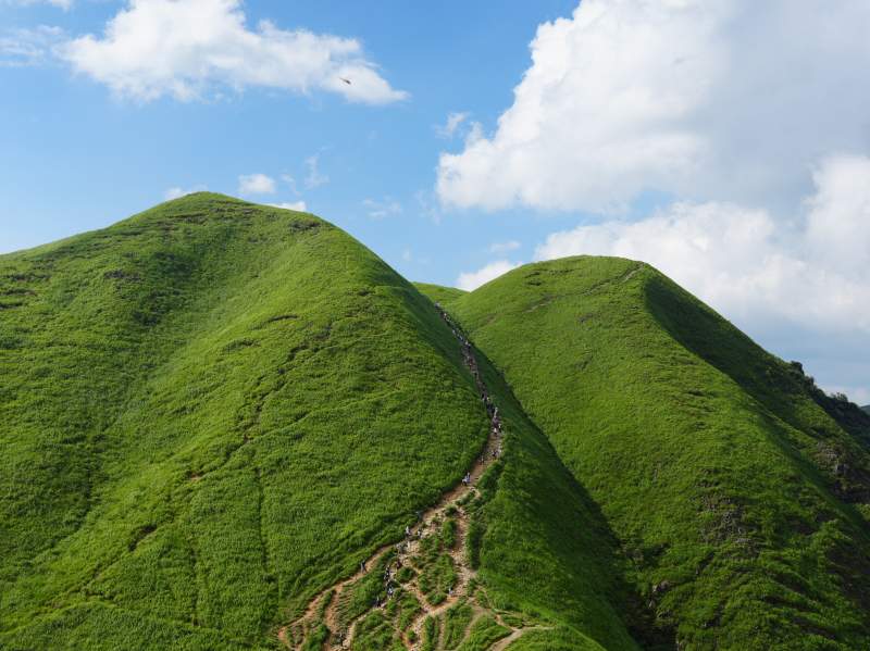 绿意盎然的山脊小径图片