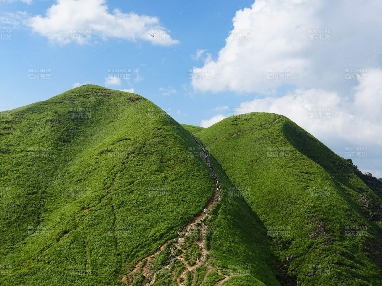 绿意盎然的山脊小径图片