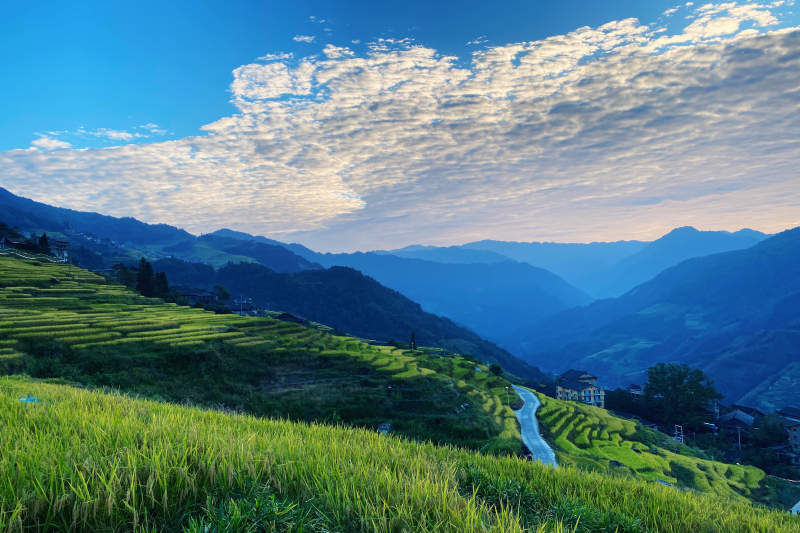 梯田晨曦 青山环绕图片