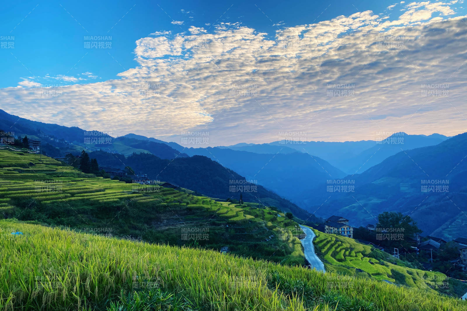 梯田晨曦 青山环绕图片