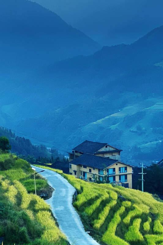 龙脊梯田山间小屋梯田环绕图片