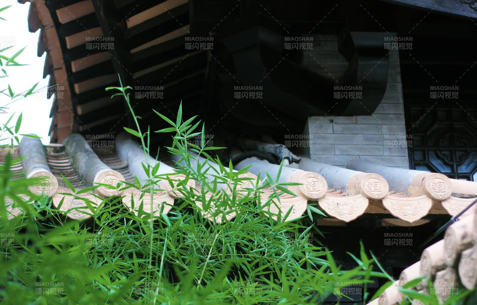 古建筑屋檐下的绿植图片