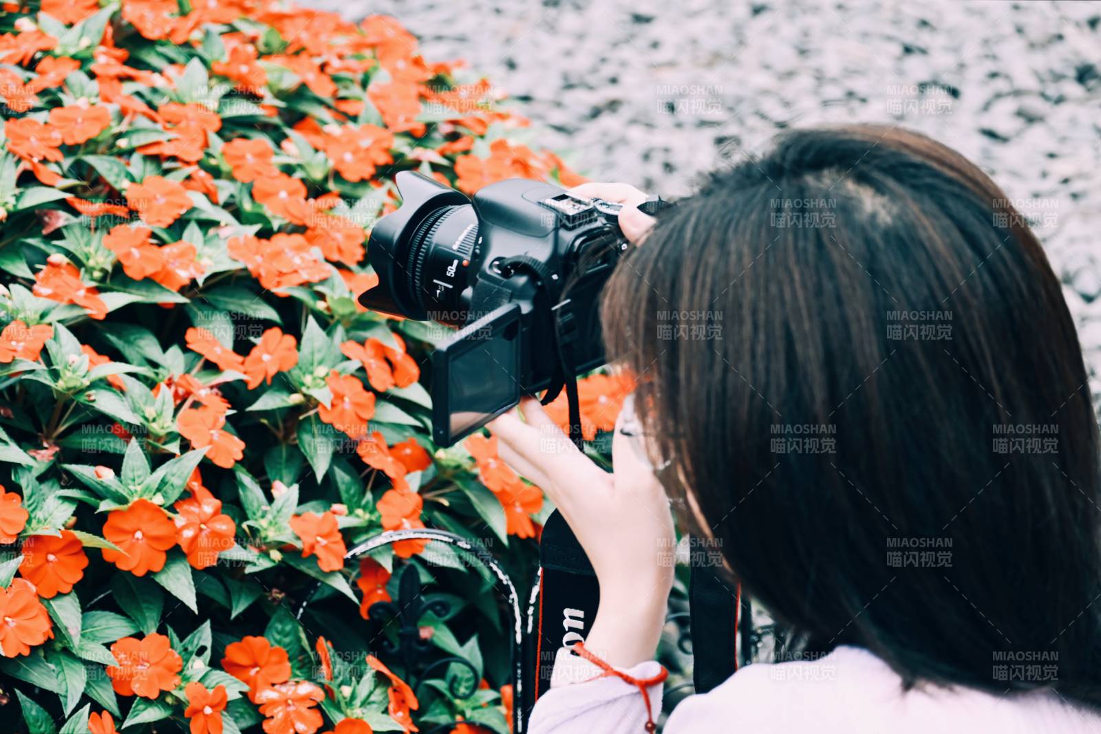 花丛中的摄影瞬间图片