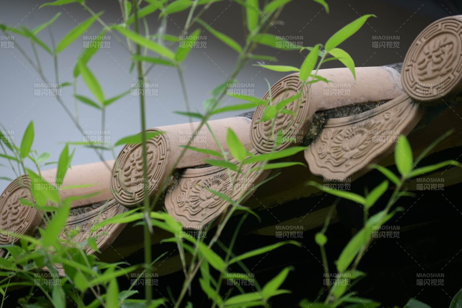 竹影下的古瓦细节图片
