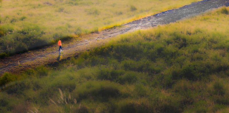 独行者在荒野小径上图片