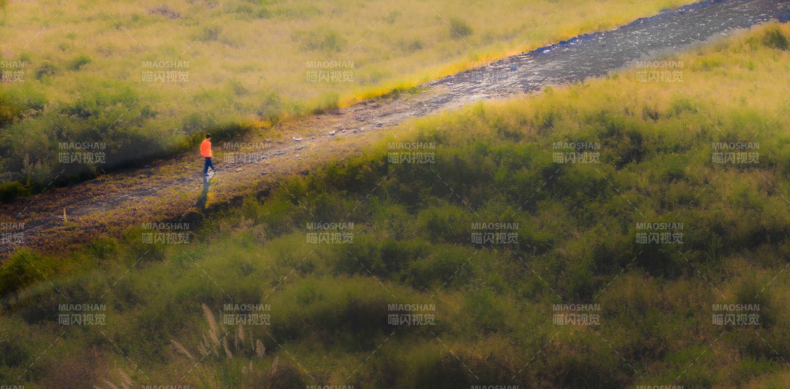 独行者在荒野小径上图片