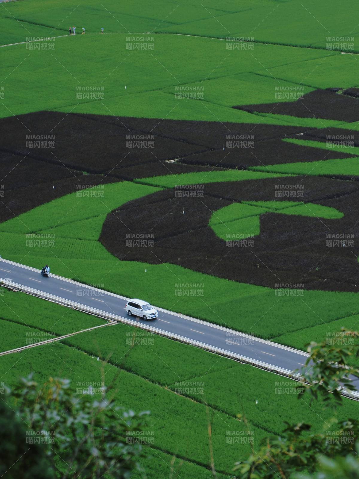 田园风光 车行其间图片