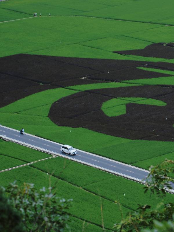 田园风光 车行其间图片