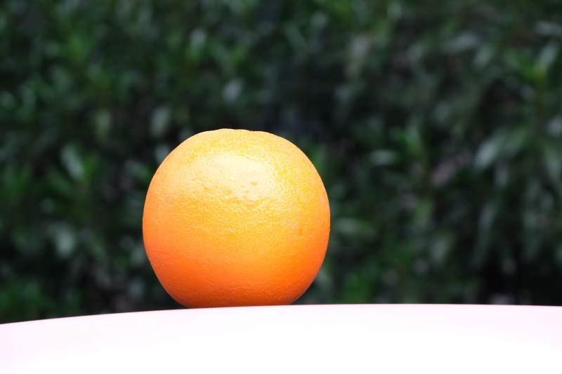 橙子与绿叶背景图片