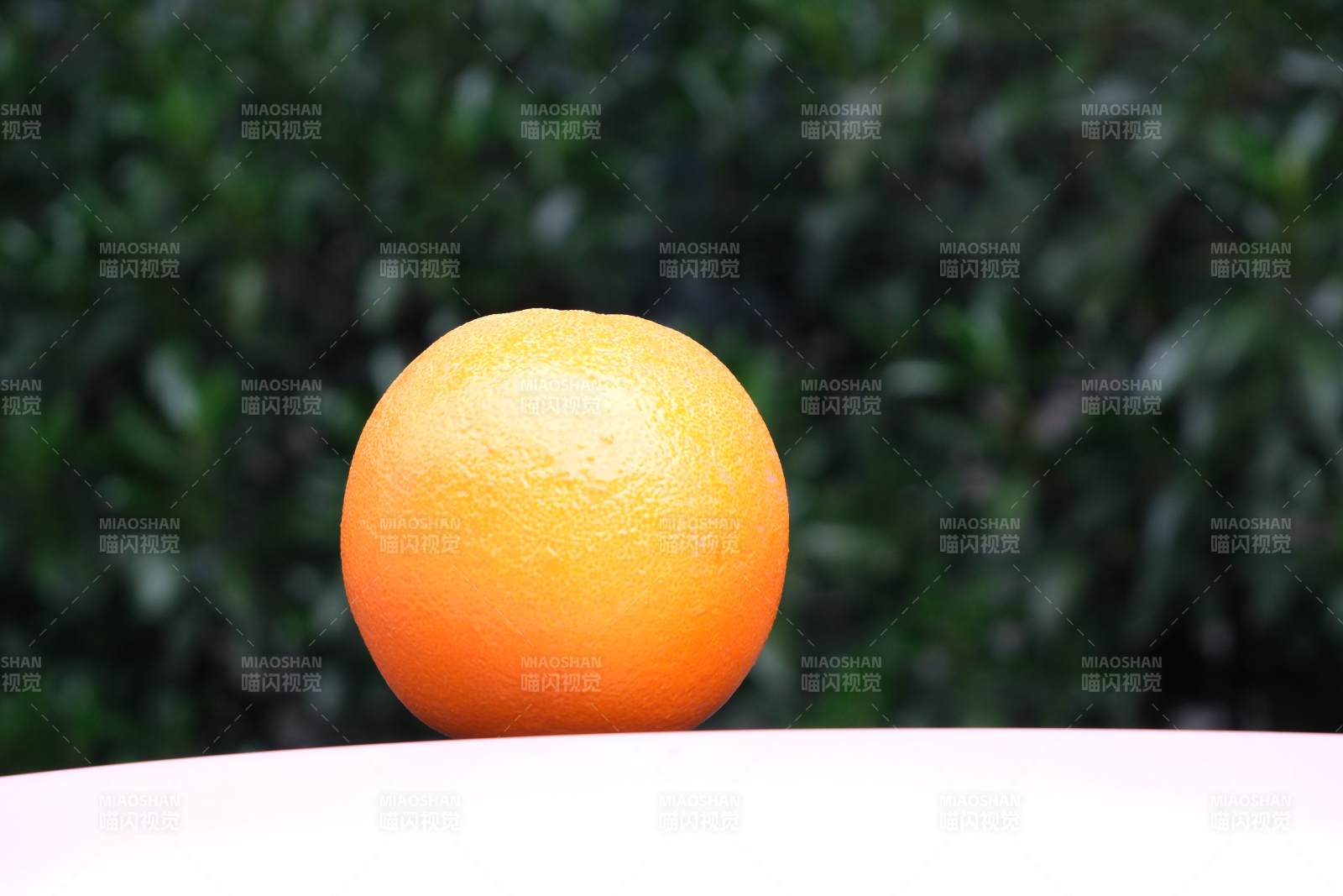 橙子与绿叶背景图片