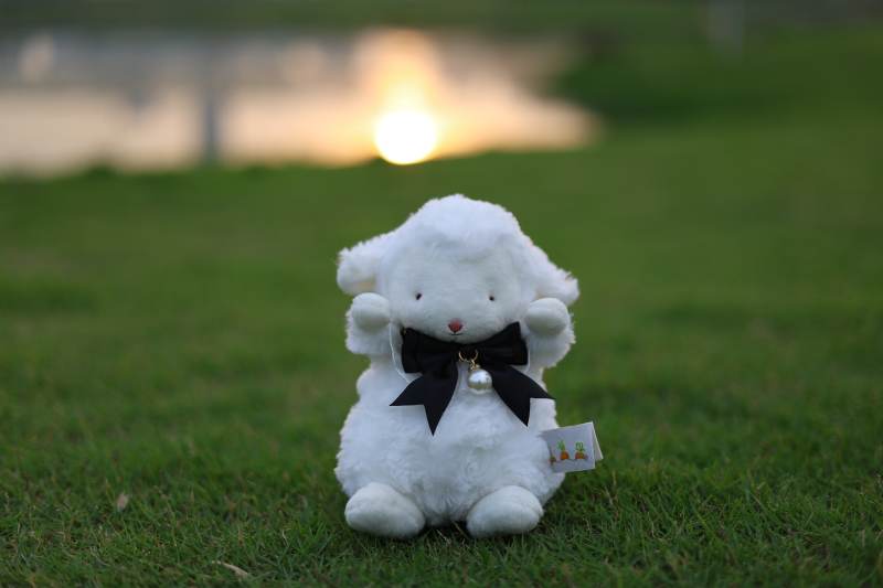 夕阳下的小羊玩偶图片