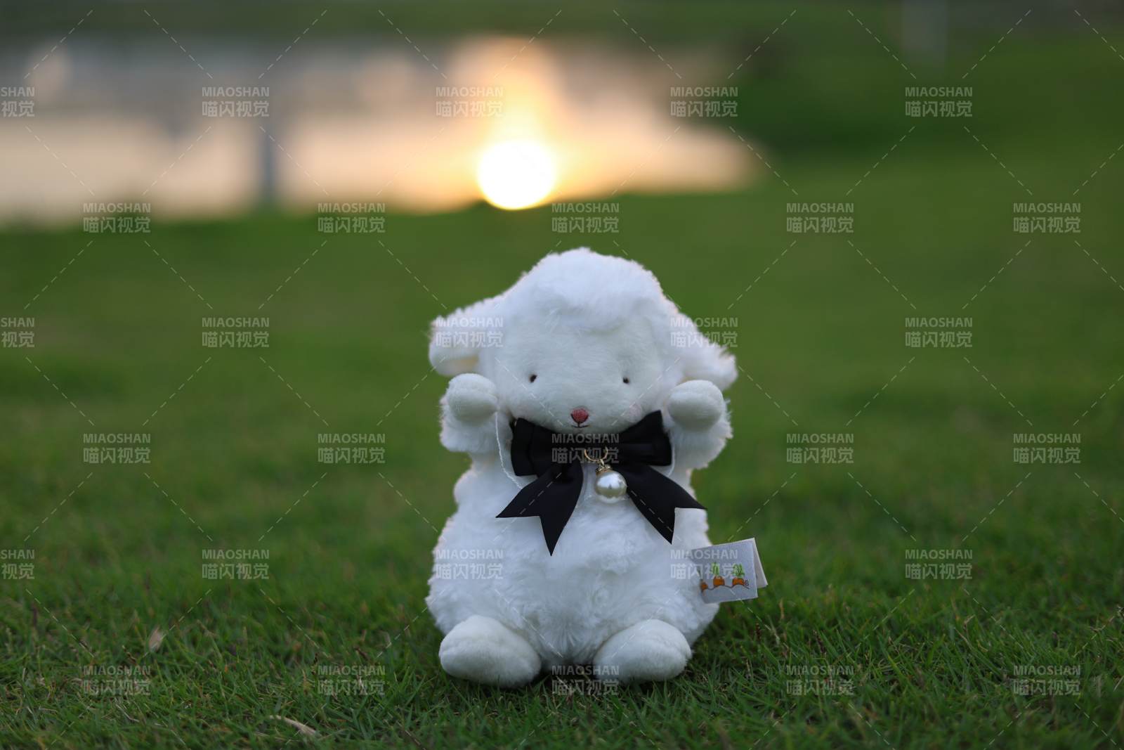 夕阳下的小羊玩偶图片