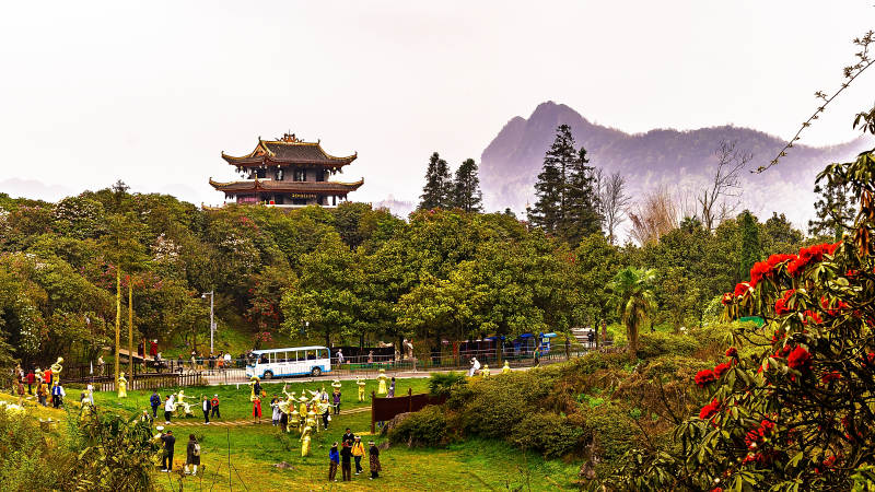 山间古塔 绿树红花相伴图片