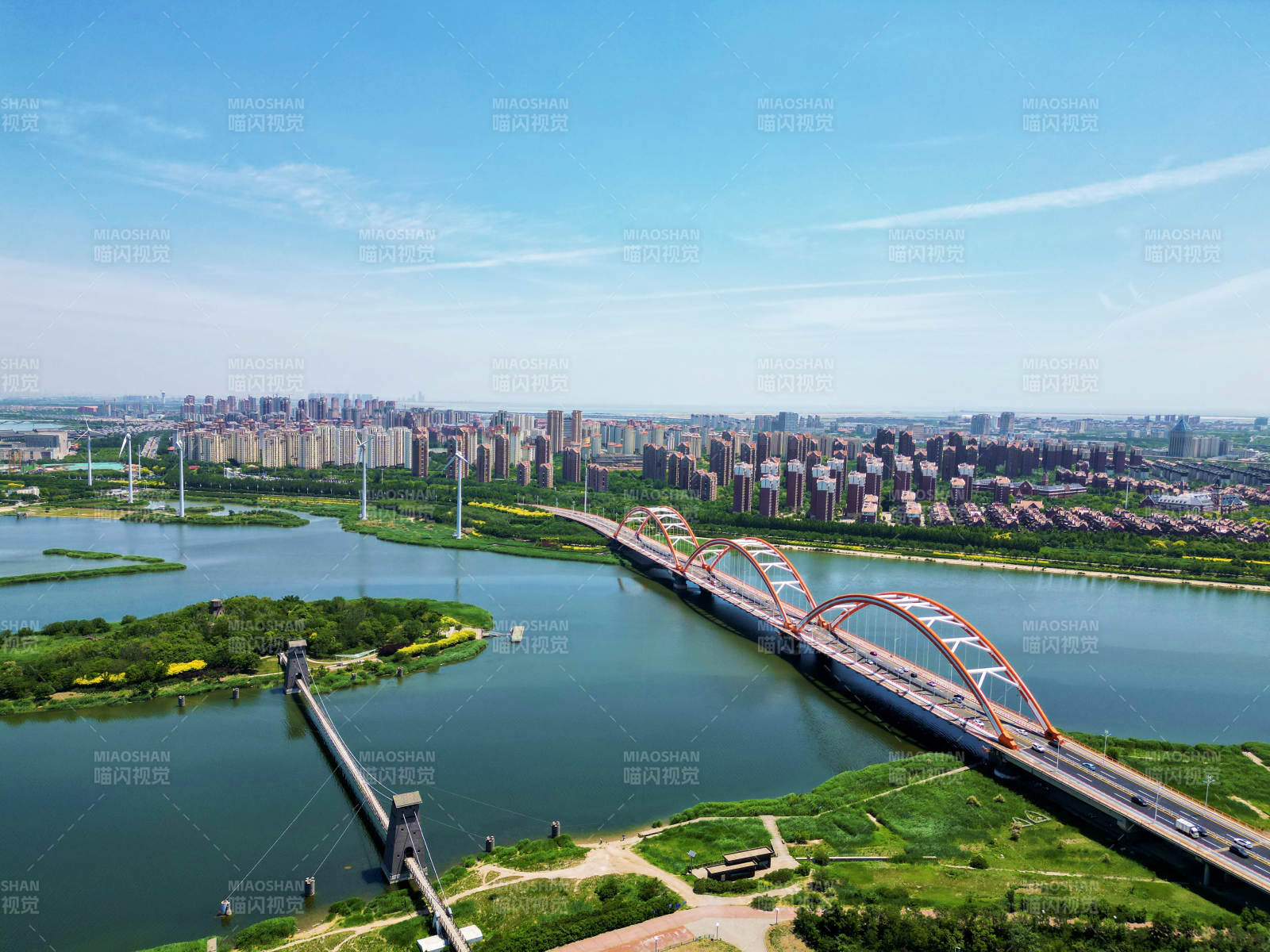 城市桥梁与绿洲风光图片