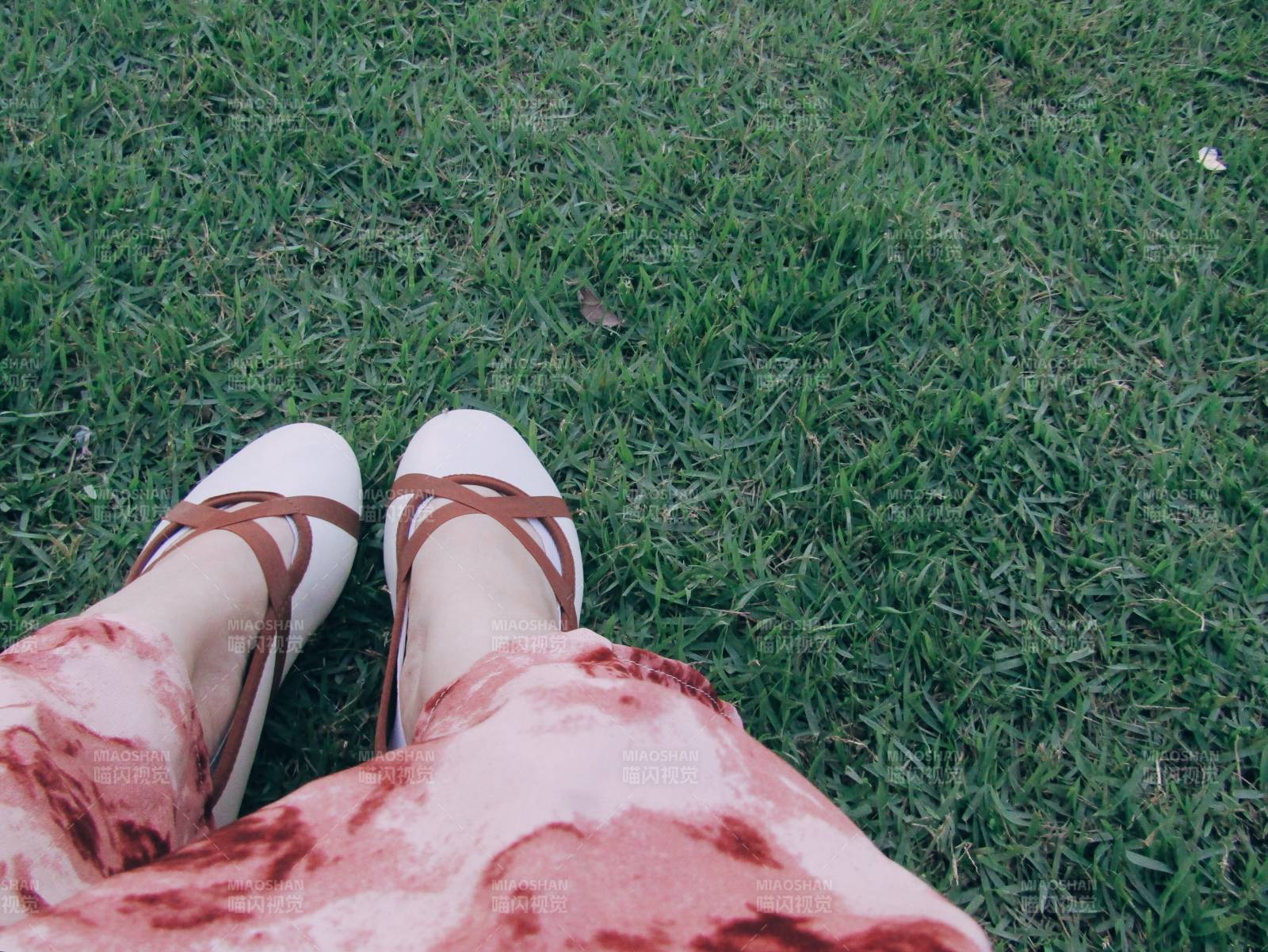 草地上的悠闲时光图片