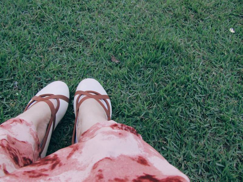 草地上的悠闲时光图片