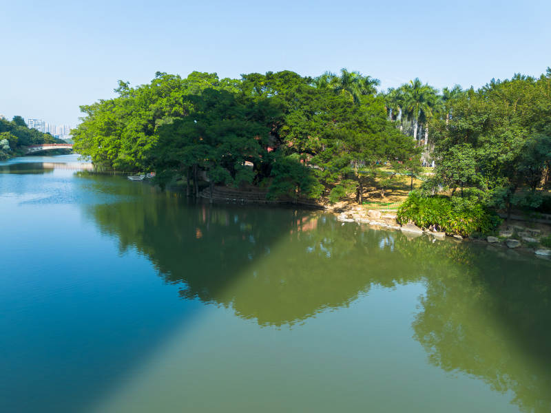 湖畔绿树倒影如画图片