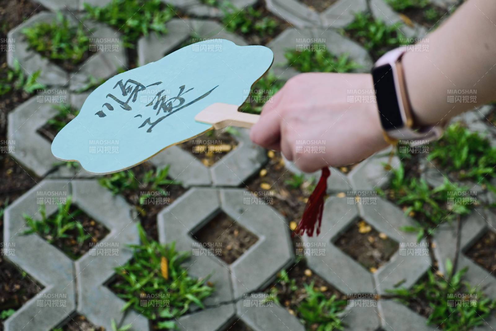 手握蓝色扇子 草地上漫步图片