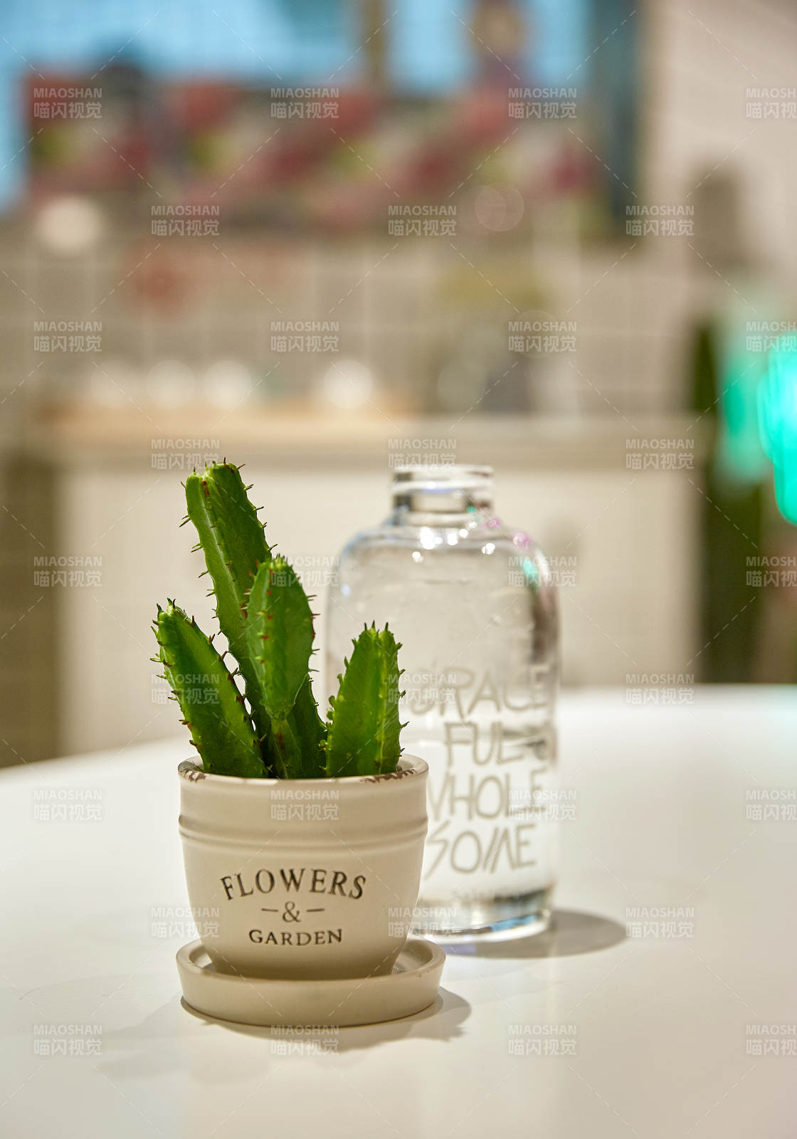 绿植与水瓶的静谧时光图片