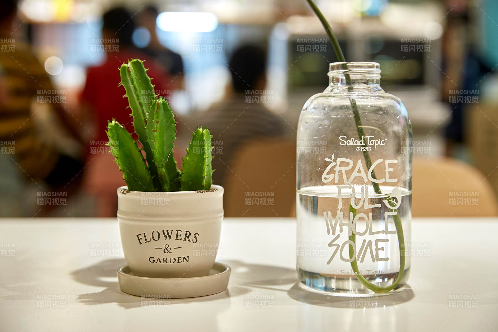 绿植与玻璃瓶的静谧时光图片