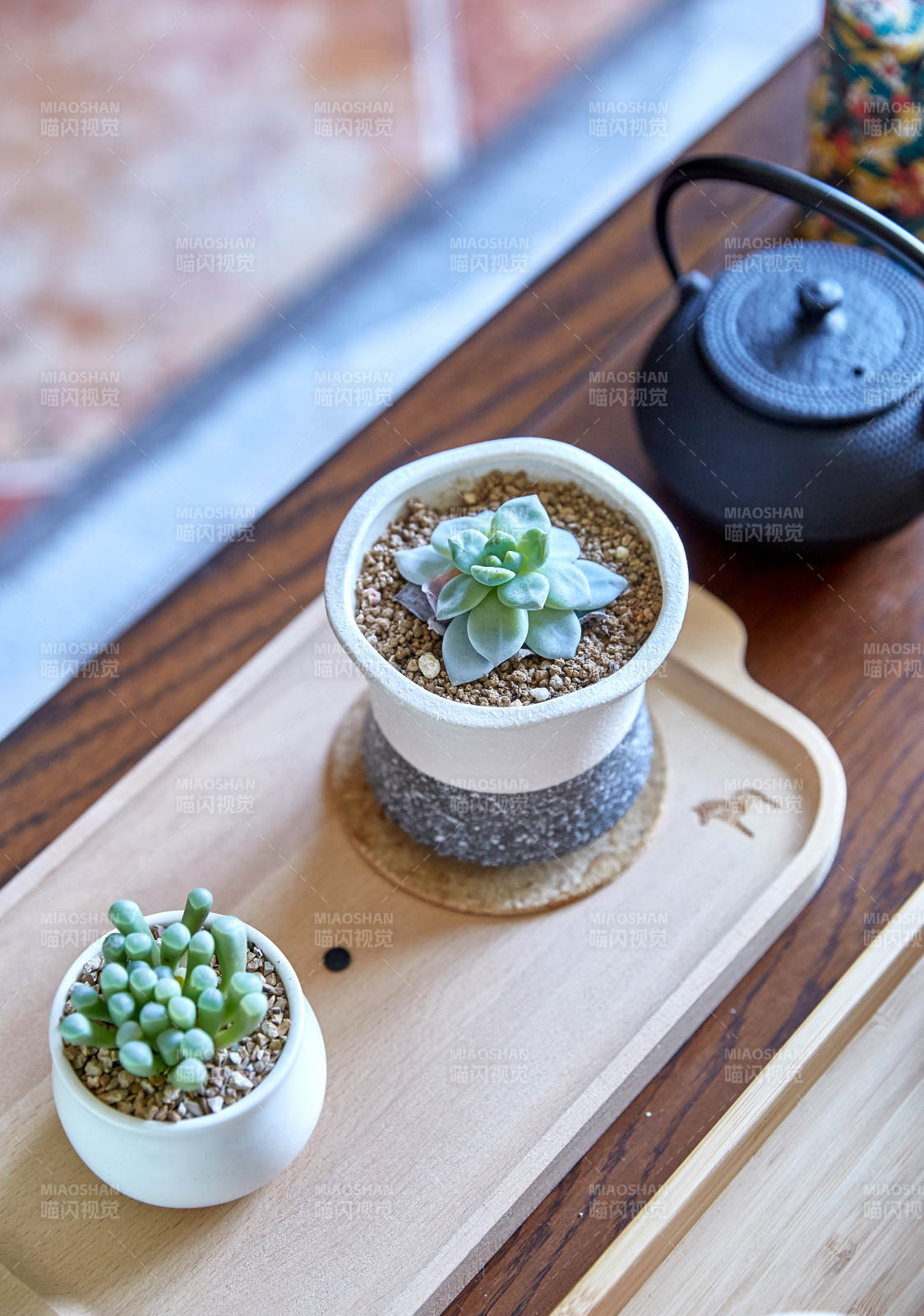 茶盘上的多肉植物与茶壶图片