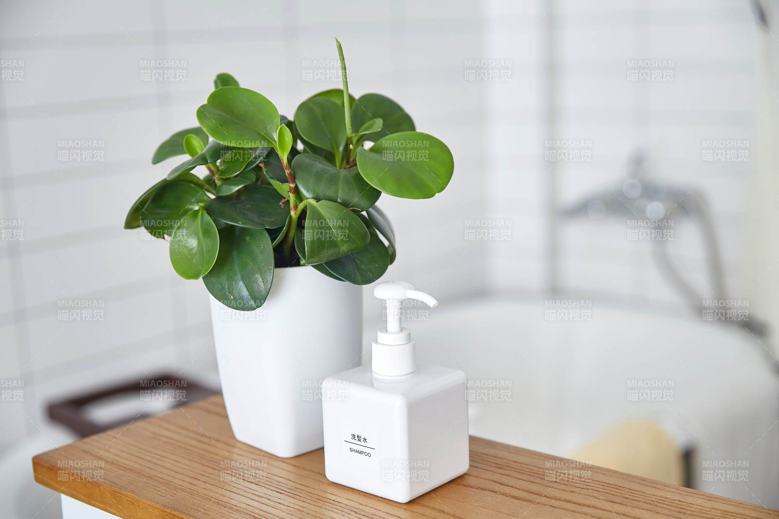 浴室绿植与洗手液摆设图片