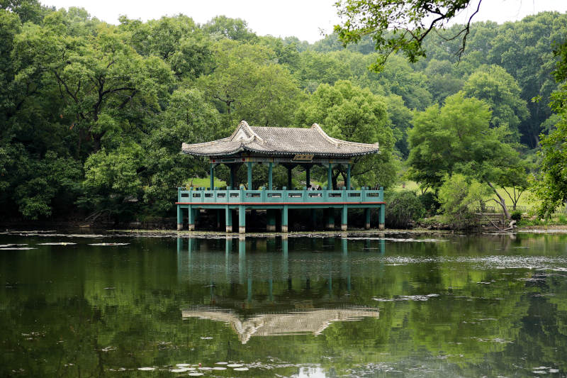 中山陵流徽榭图片