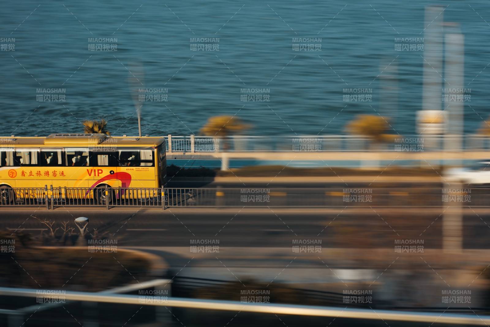 海边VIP巴士掠影图片
