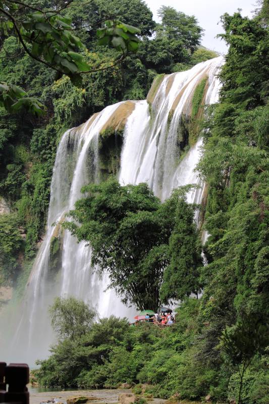 瀑布飞流 绿树环绕图片