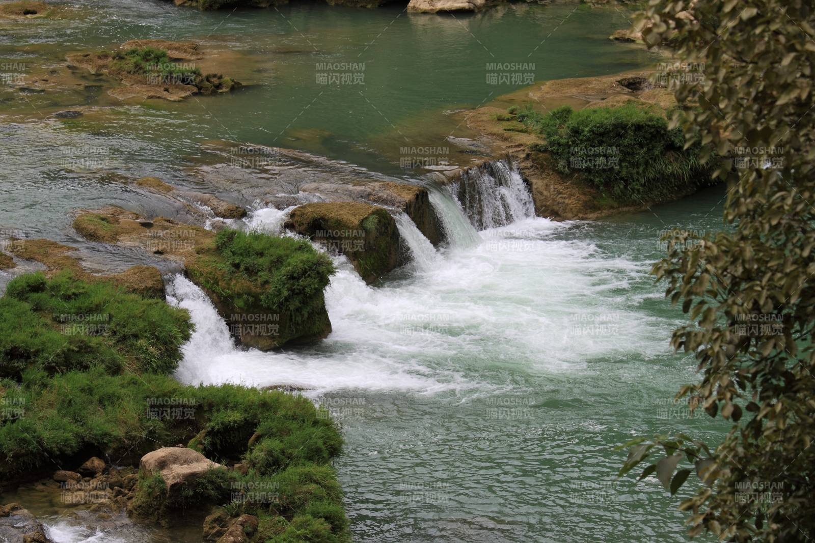 溪流瀑布 绿植环绕图片