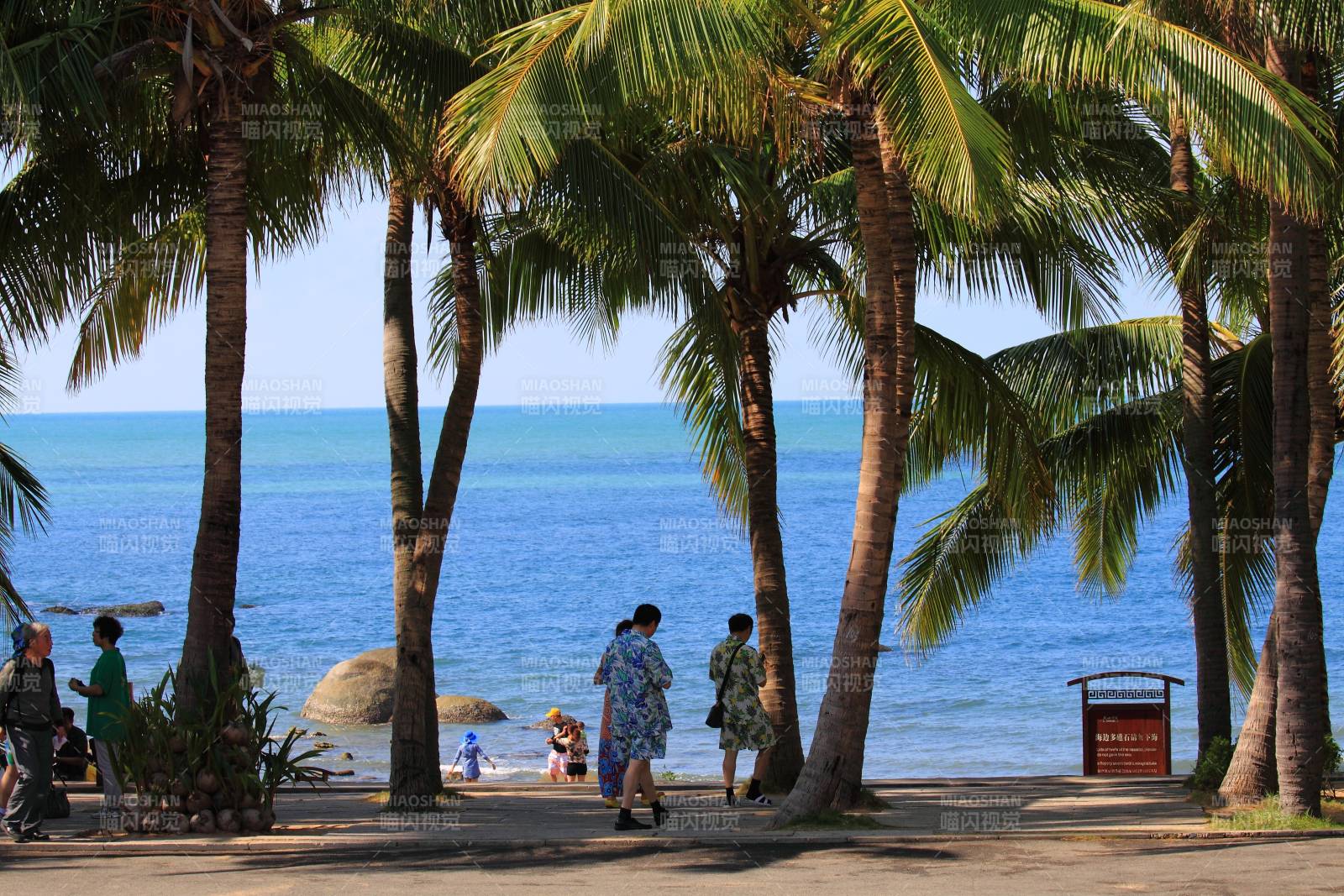 椰林海边漫步图图片