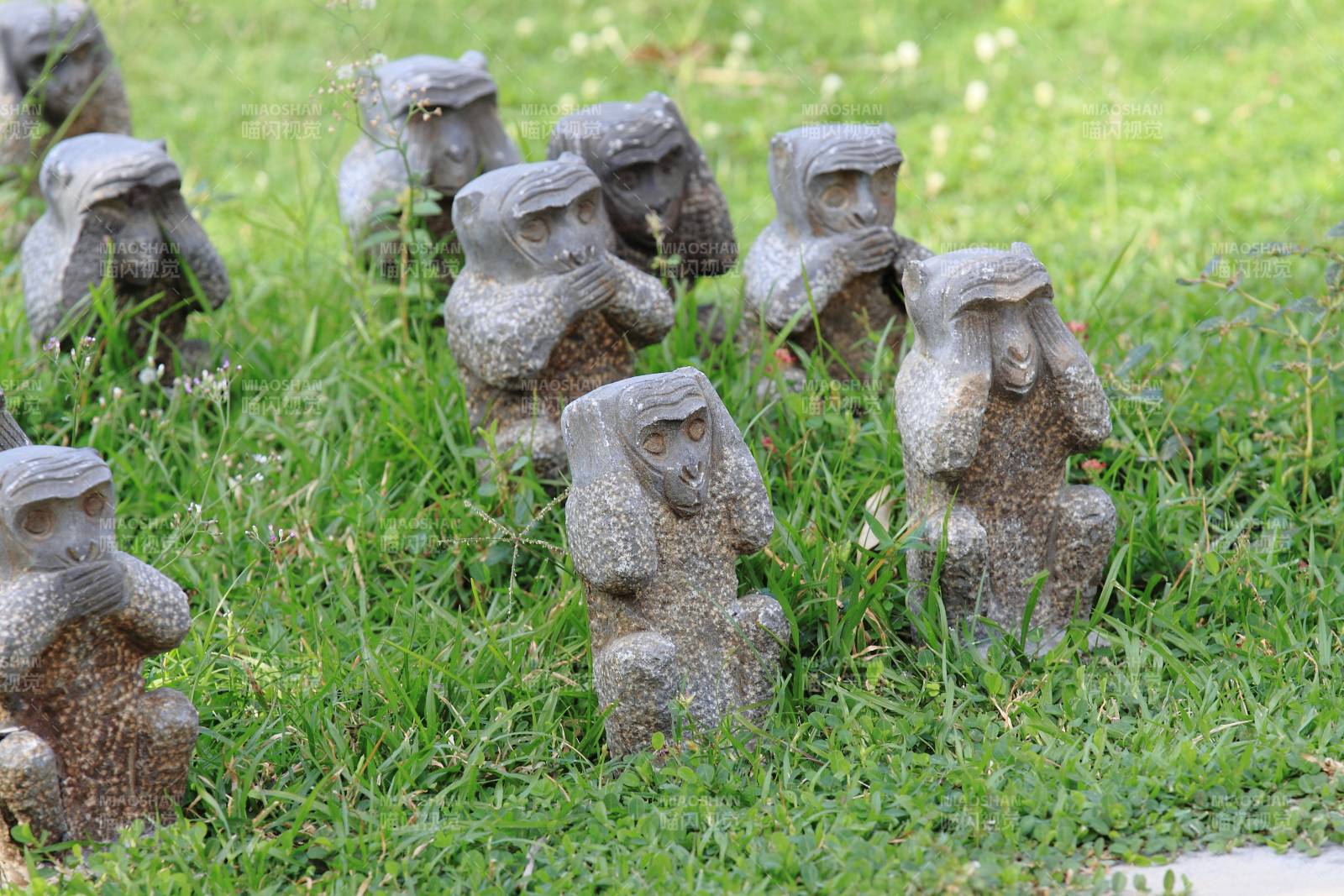 石雕猴子群 草地上静立图片