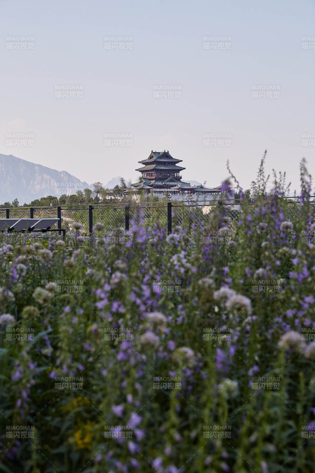 花海中的古塔风光图片