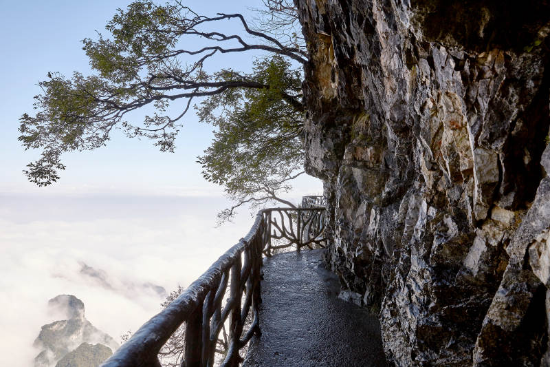 云海之上的悬崖栈道图片