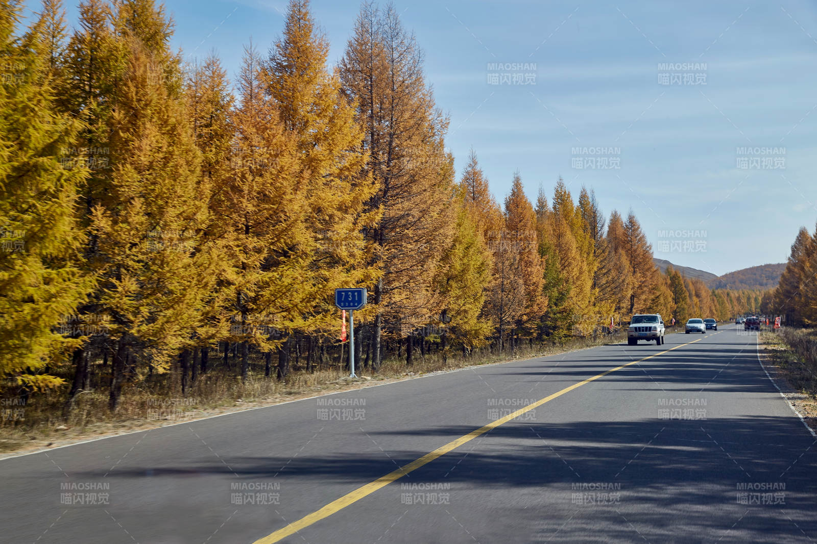 秋日林间公路风景如画图片