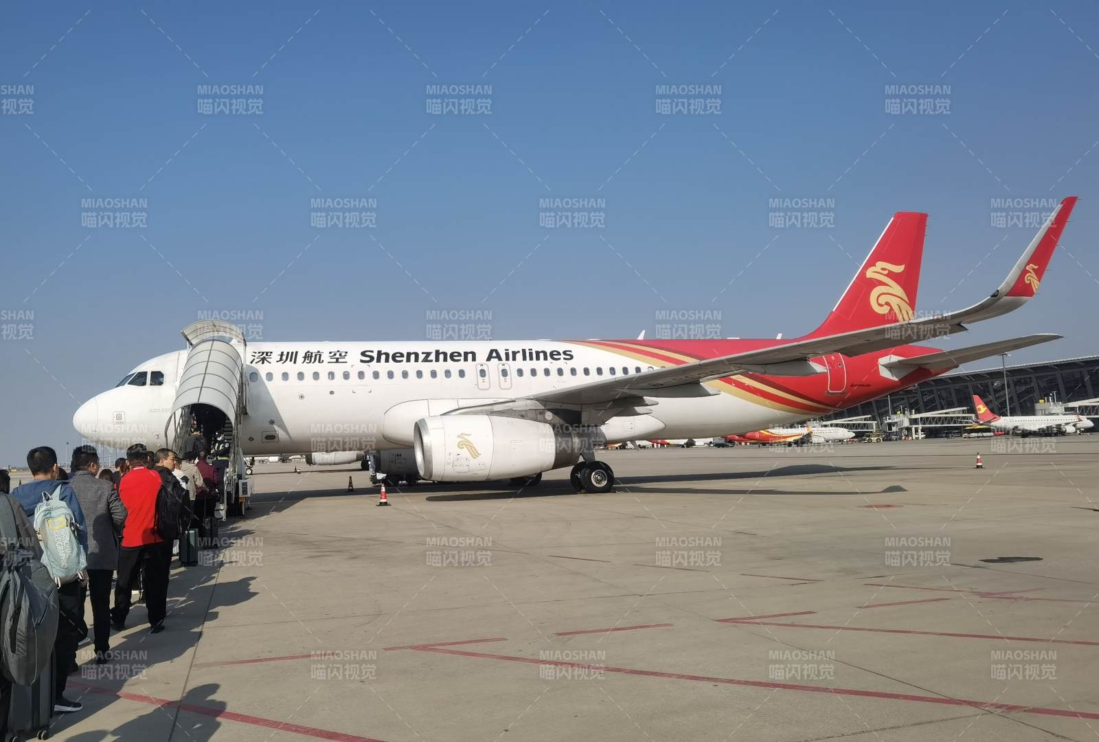 深圳航空飞机停靠登机口图片