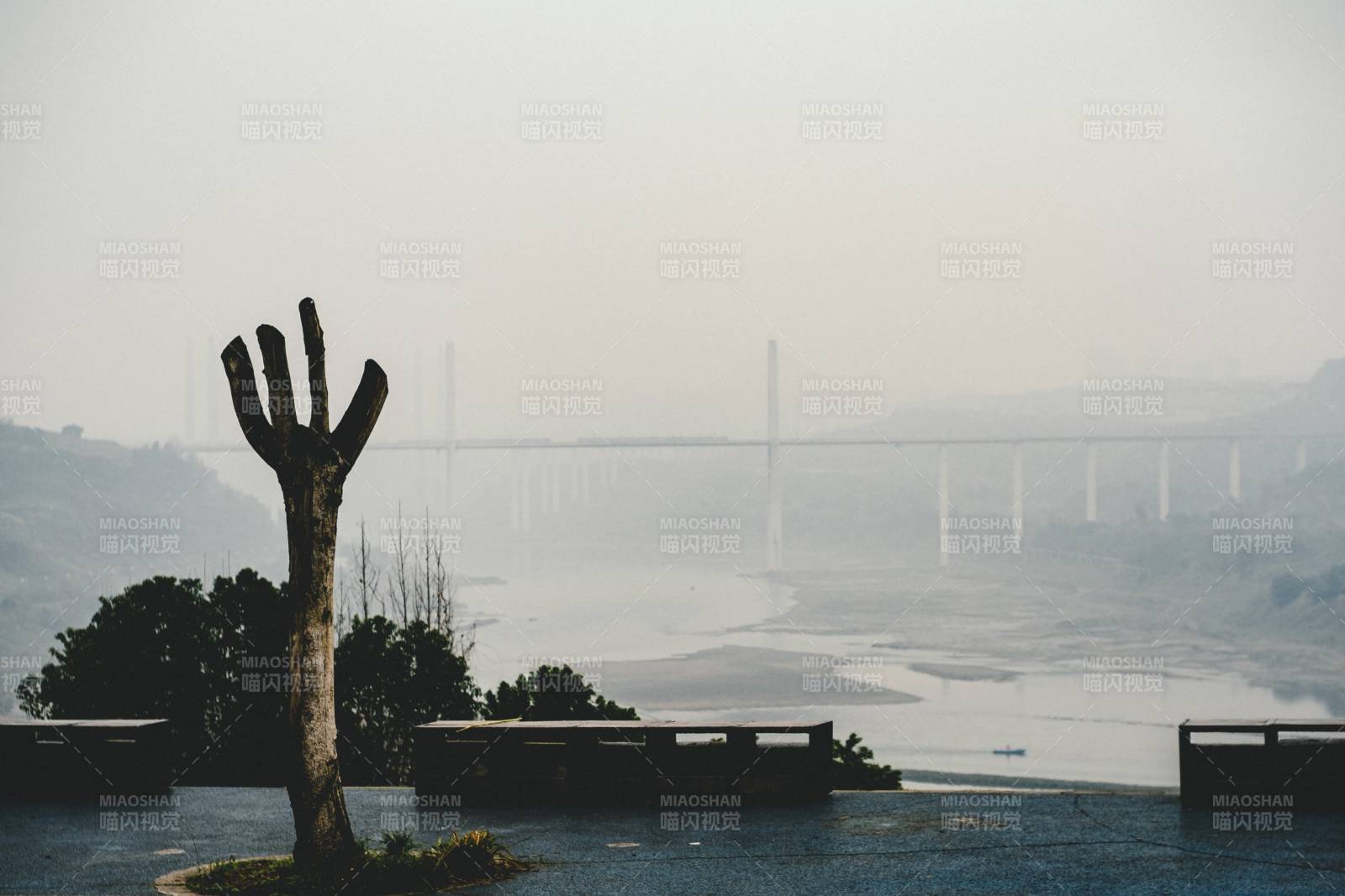 江畔孤树 桥影朦胧图片