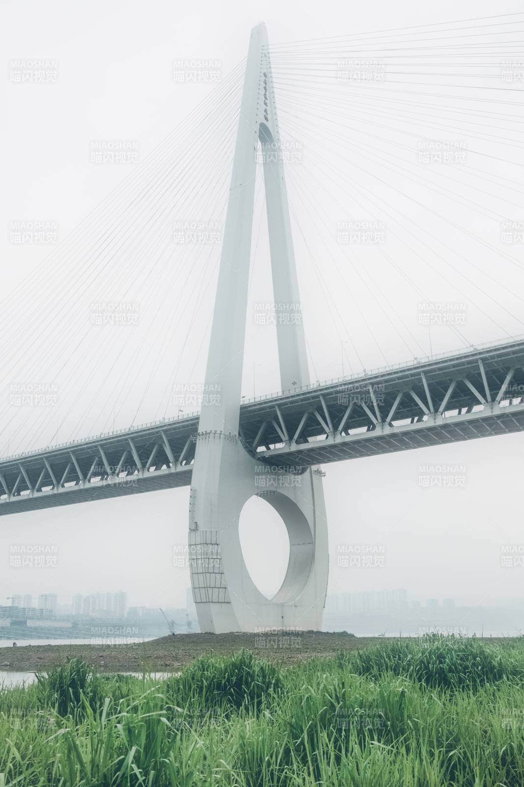 雾中大桥 圆环设计独特图片