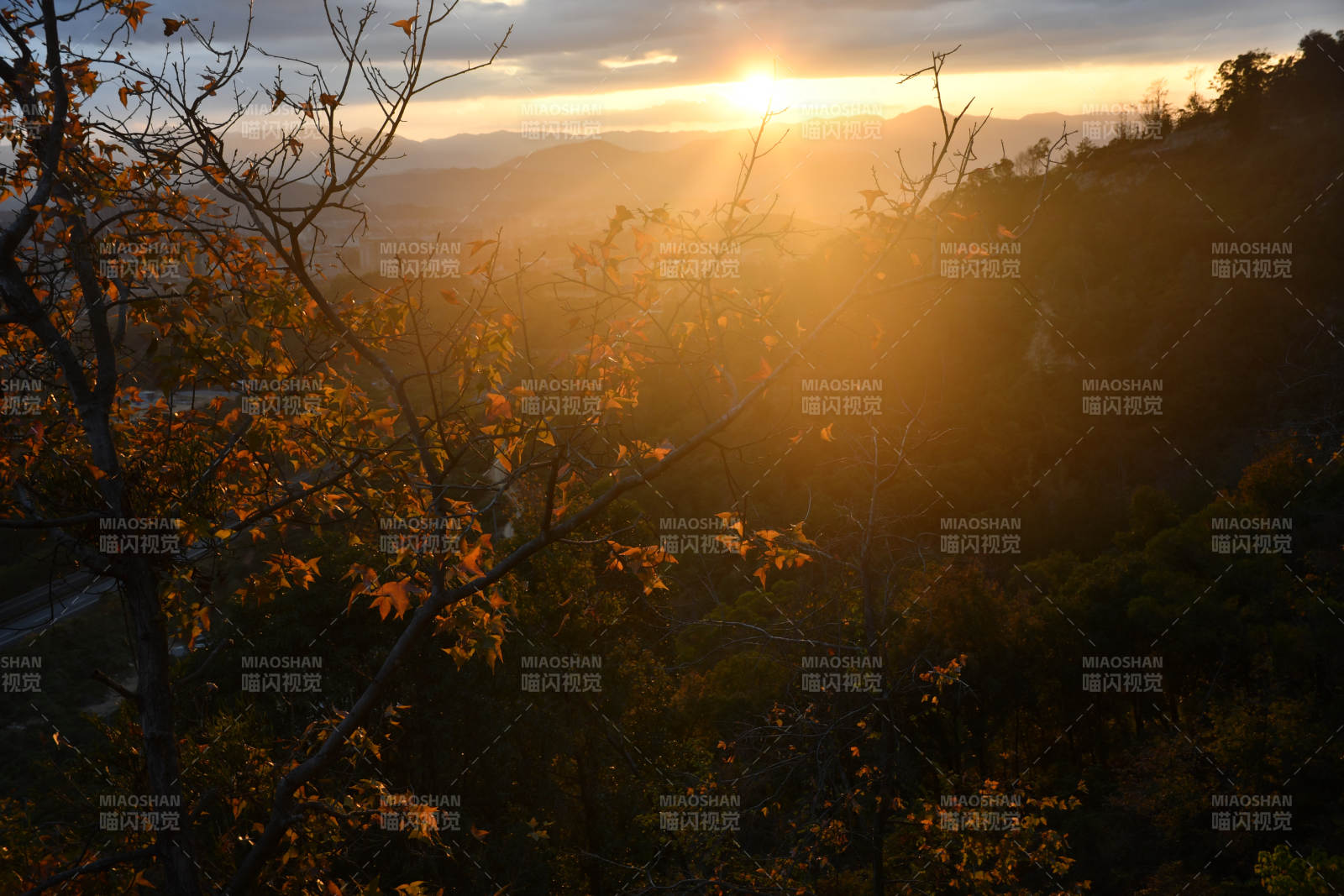 秋日黄昏 山林静谧图片