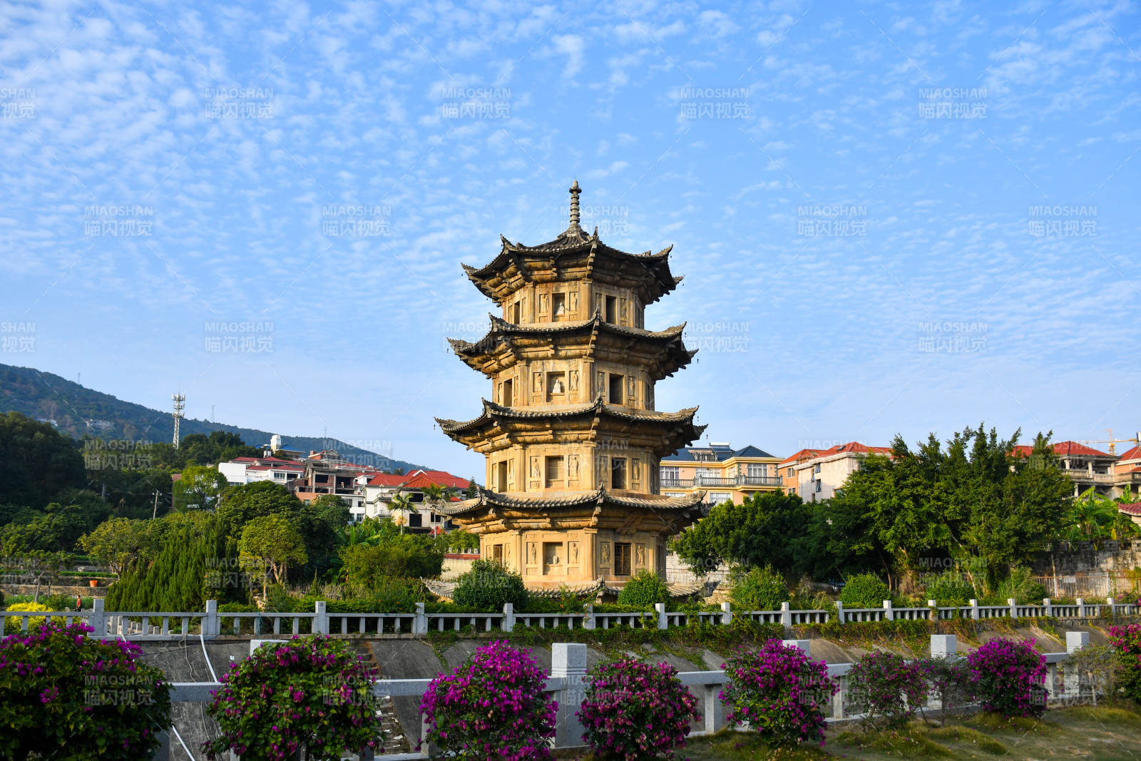 莆田南山古塔映蓝天 花海环绕图片