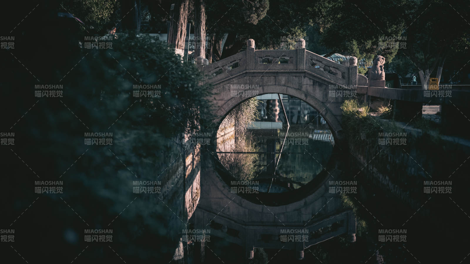 古桥圆洞映绿荫图片