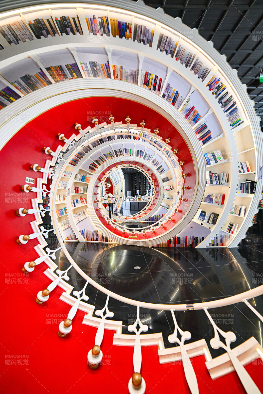 螺旋书架的奇幻世界图片