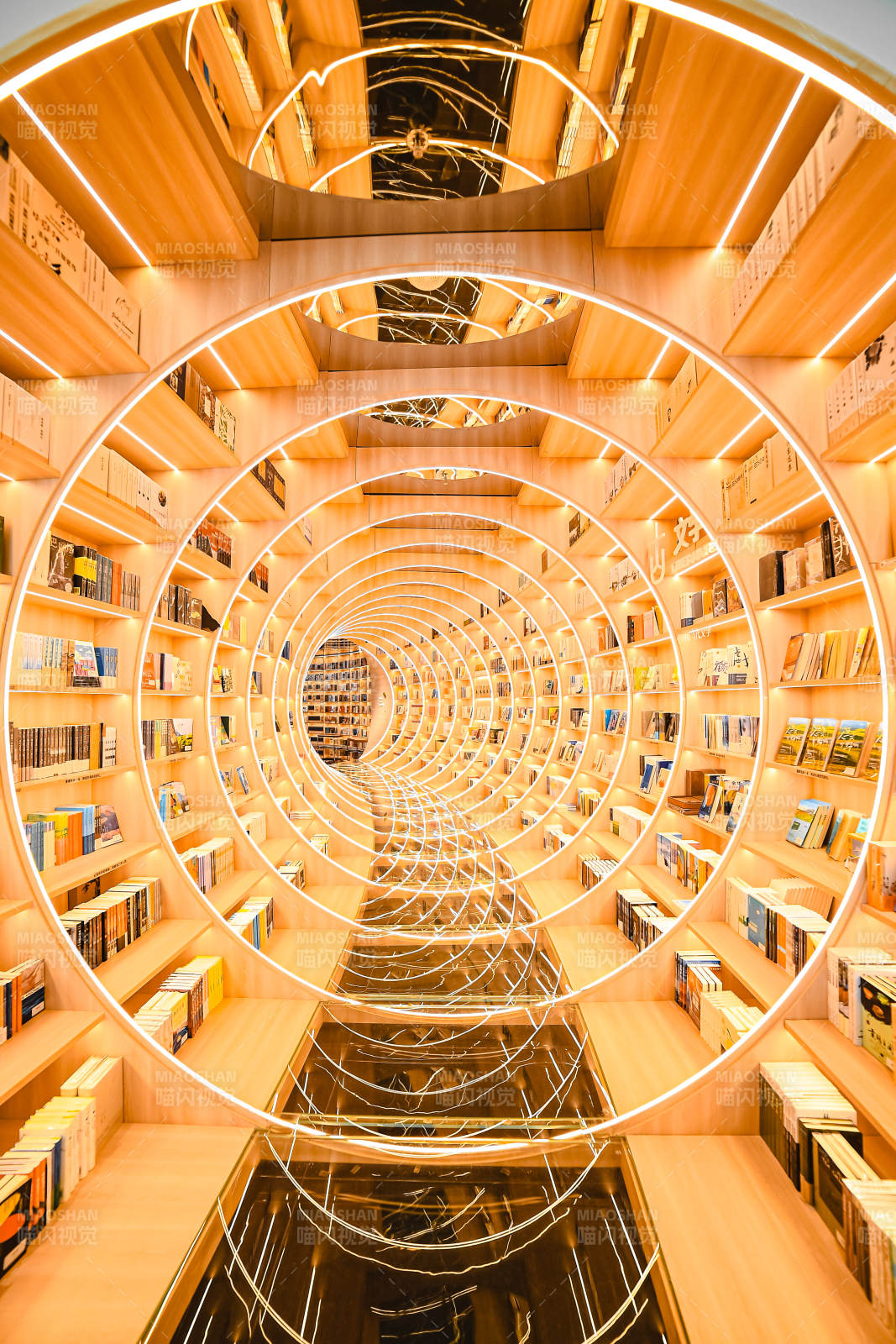 螺旋书架的奇幻图书馆图片